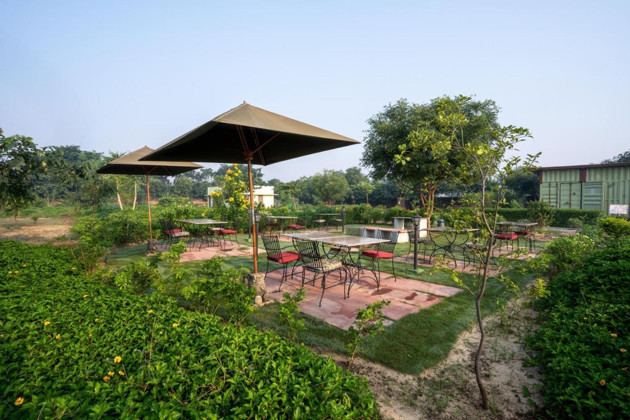 Hotel Tree Of Life Ecotainers Agra Agra  Exterior foto
